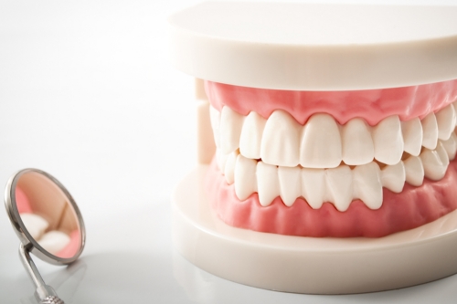 Tooth Prosthesis | Dent Elitium